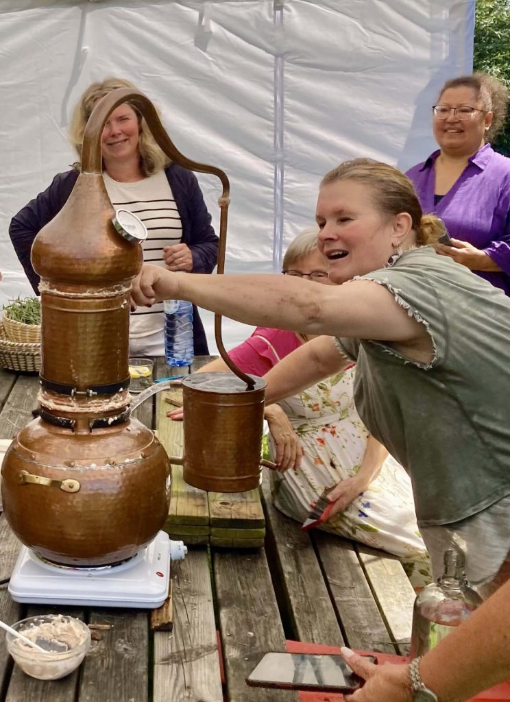 Oogst, destilleer en creëer met lavendel. AromaWise by Joanne
