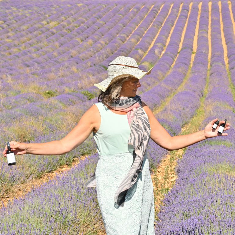 Lavendeloogst in de Provence, AromaWise by Joanne, lavendelolie, lavendel etherische olie en hydrolaat