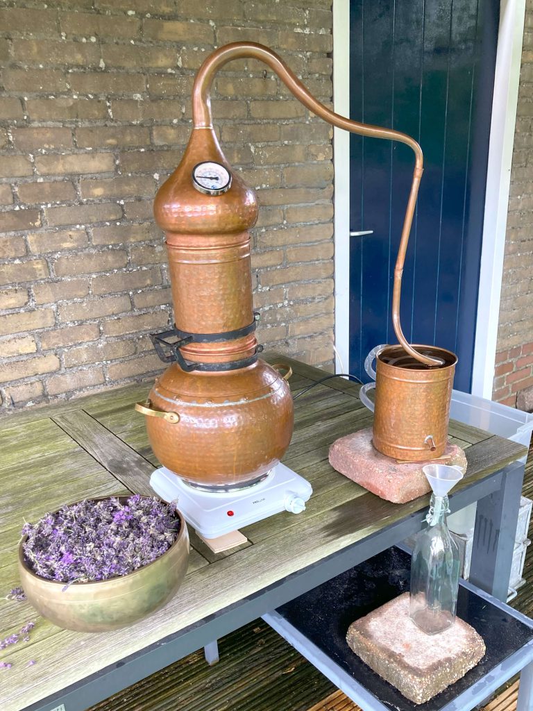 Lavendel etherische olie, een druppel vol kracht, kennis en ziel. AromaWise by Joanne