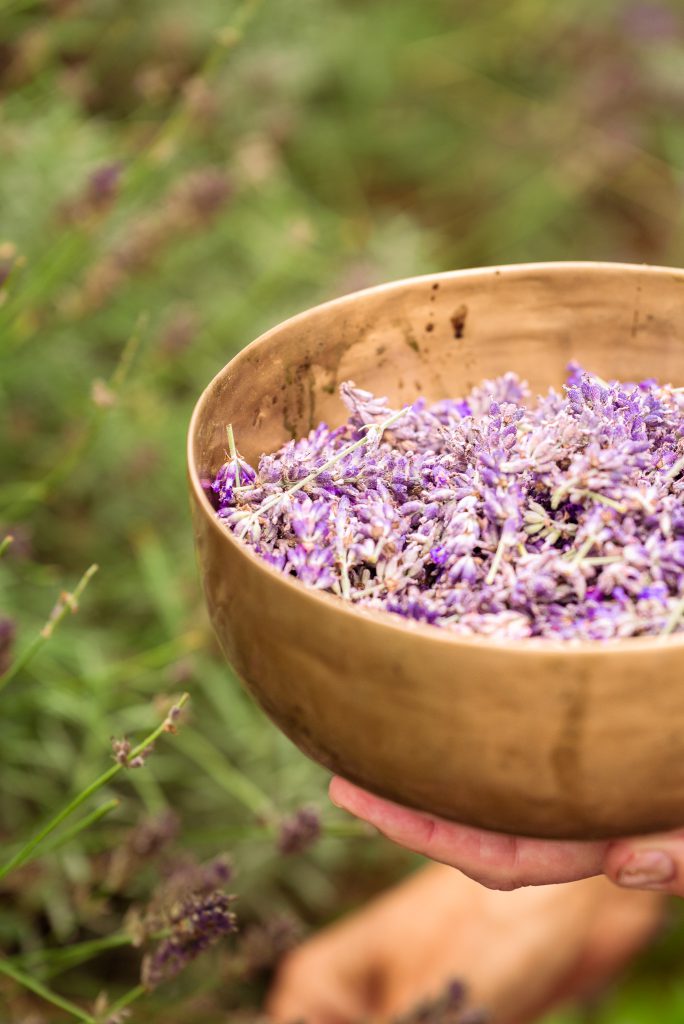 Lavendel etherische olie, een druppel vol kracht, kennis en ziel. AromaWise by Joanne