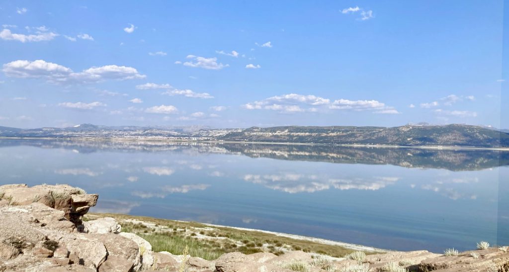 Studiereis Turkije natuurlijk werken, diep verbinden, oogsten, destilleren, plantenenergie, natuurelementen