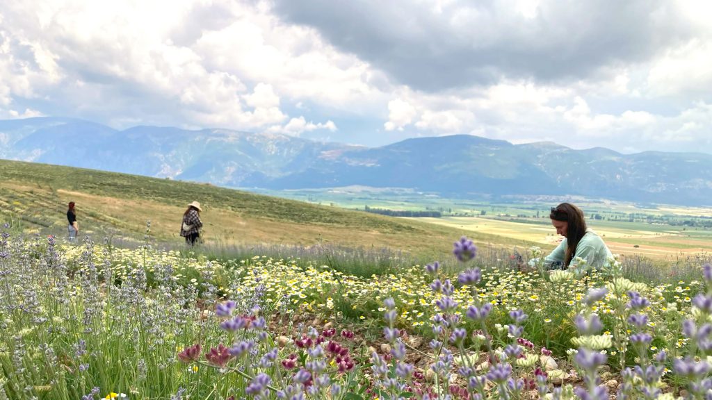 Studiereis Turkije natuurlijk werken, diep verbinden, oogsten, destilleren, plantenenergie, natuurelementen