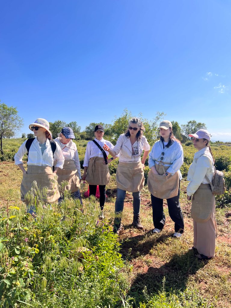 Studiereis Turkije natuurlijk werken, diep verbinden, oogsten, destilleren, plantenenergie, natuurelementen