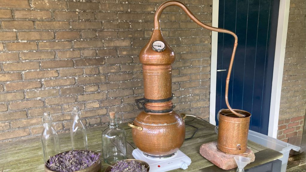Lavendel destilleren, van bloem tot geurige essentie, lavendelolie