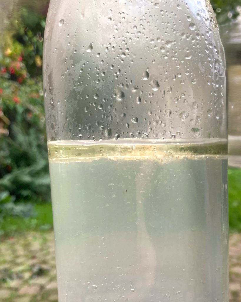 Laurier: van blad tot etherische olie en hydrolaat AromaWise by Joanne