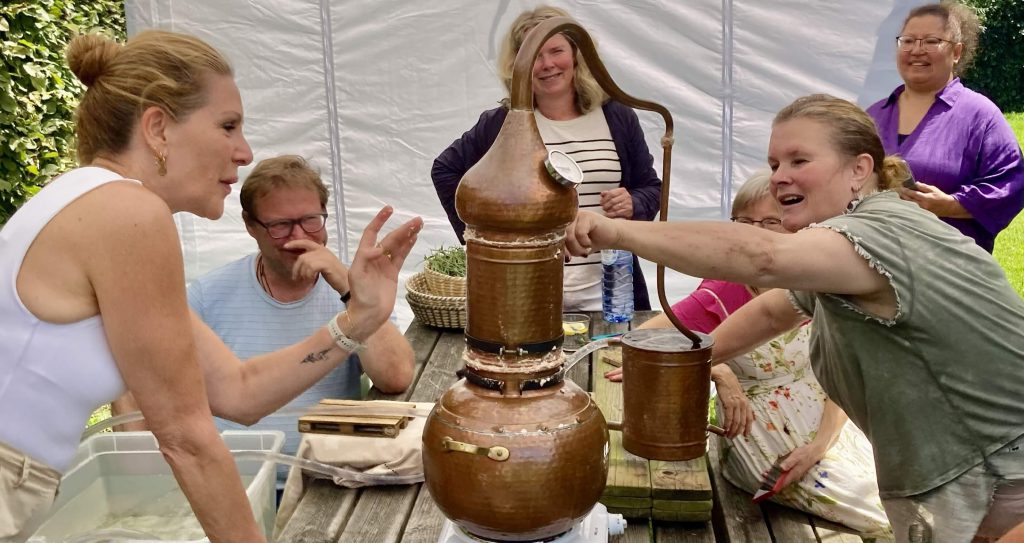 Lavendel destilleren, van bloem tot geurige essentie, lavendelolie