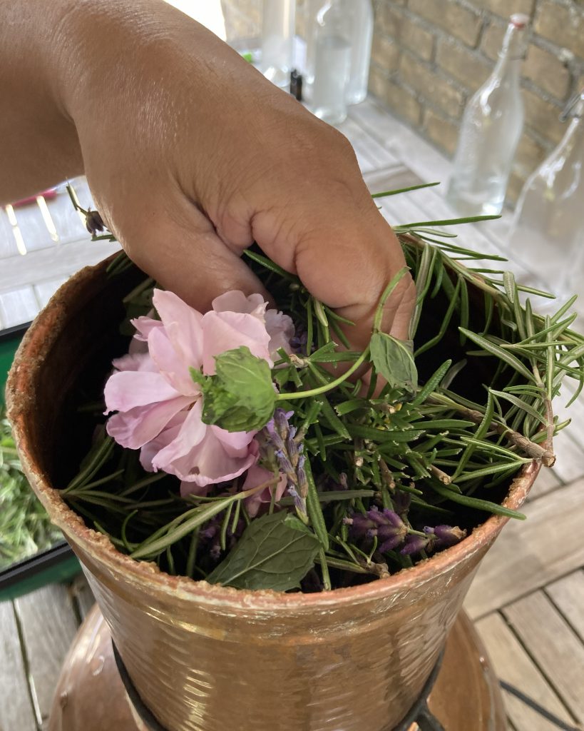 Roos, rozemarijn, lavendel, munt en lavandin worden gedestilleerd als co-destillatie in de koperen ketel voor de Botanical Care Collection