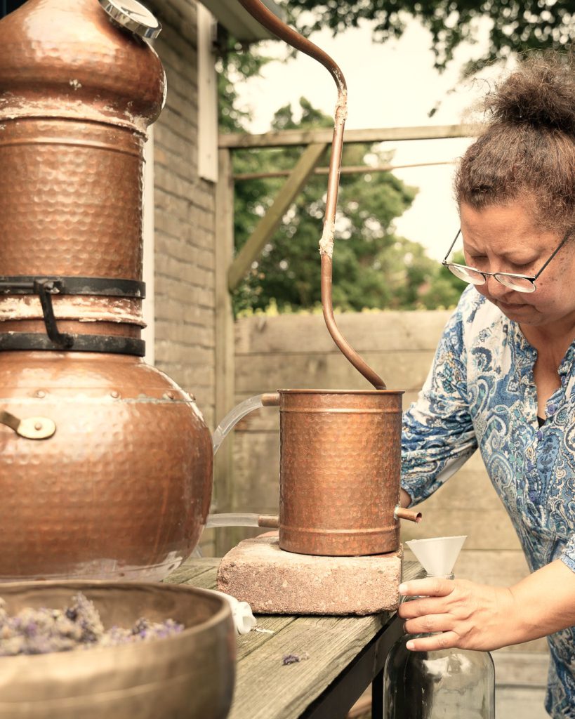Lavendel destilleren in de koperen ketel in Groningen 